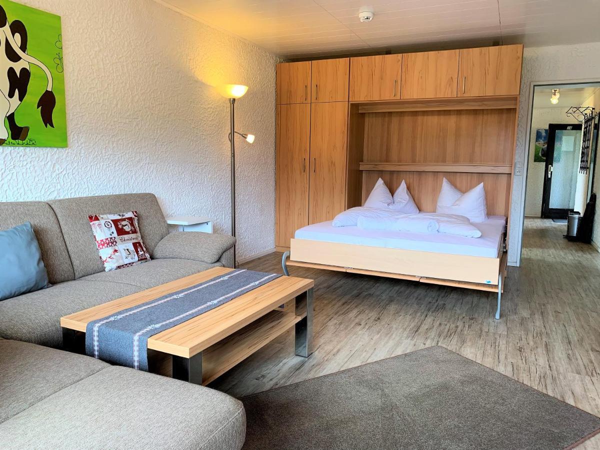 Appartement Frohnatur - 24 普夫龙滕 外观 照片